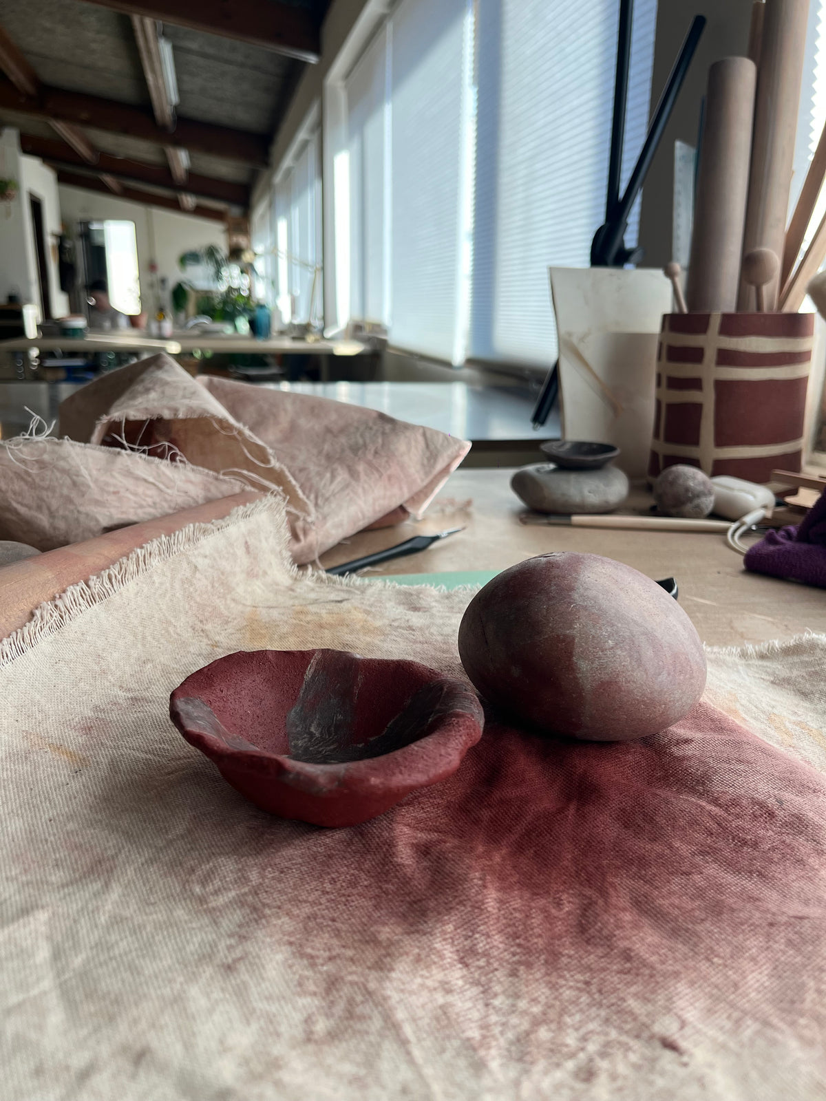 Red Kite Dish