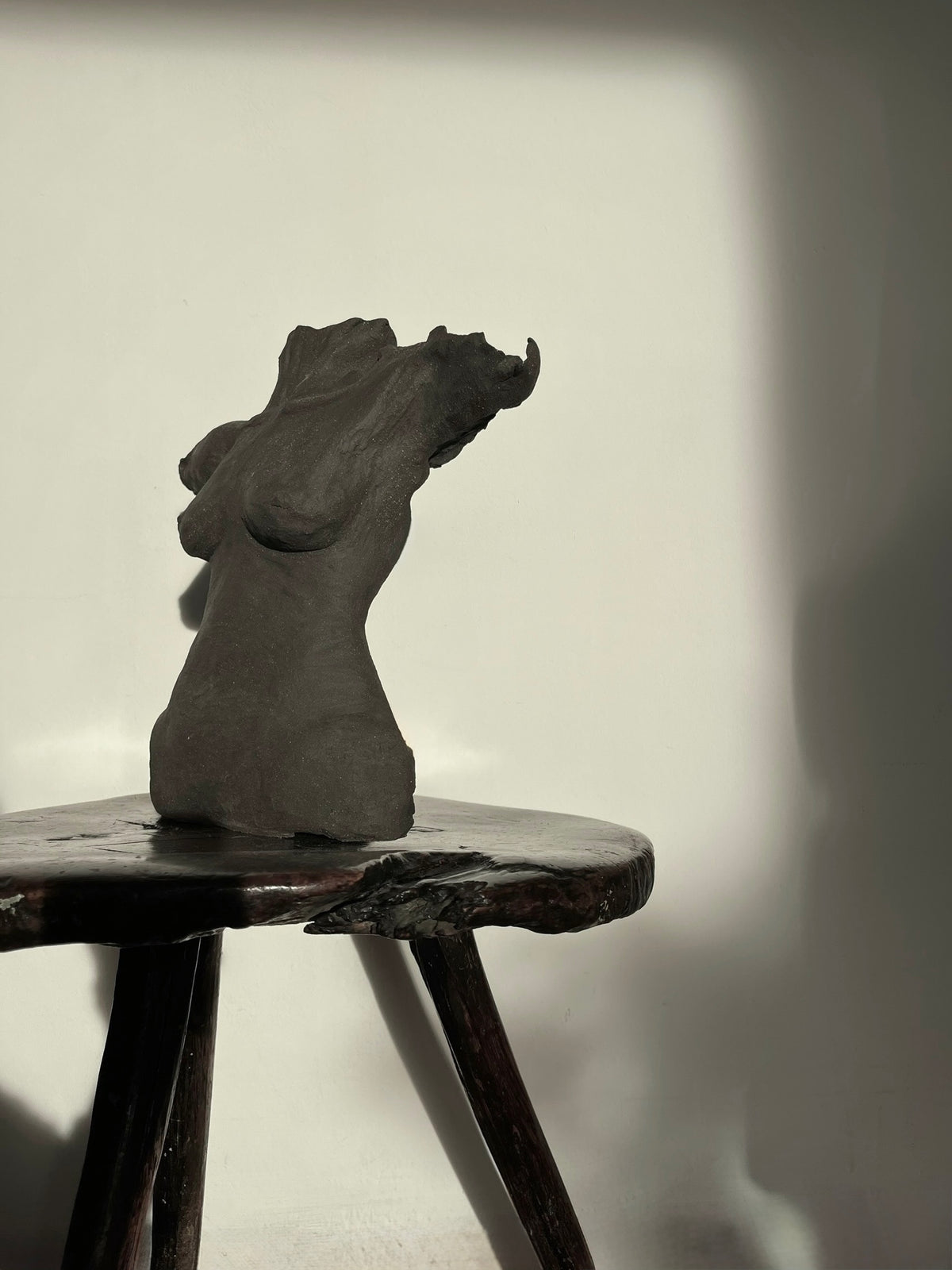 Torso 00