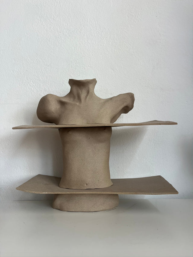 Torso.05