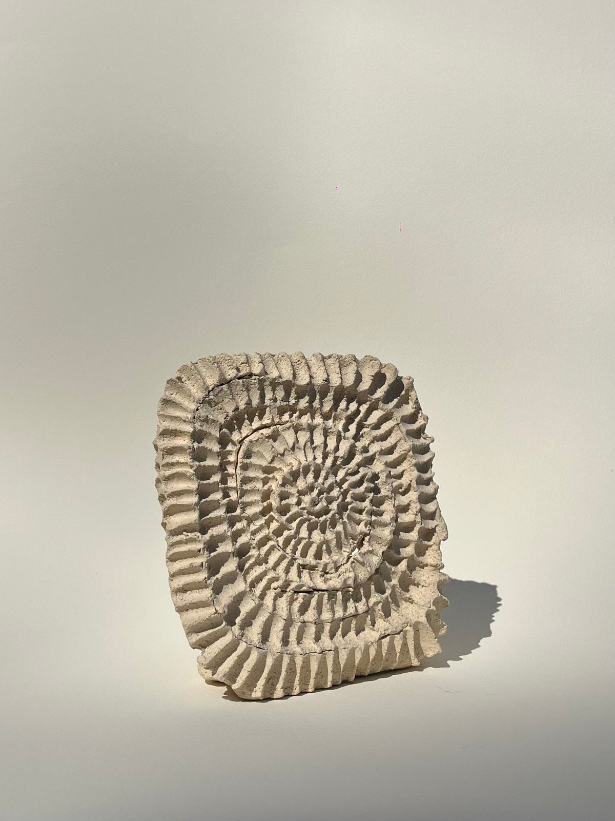 BKND.01 — Bookend Seashell Swirl
