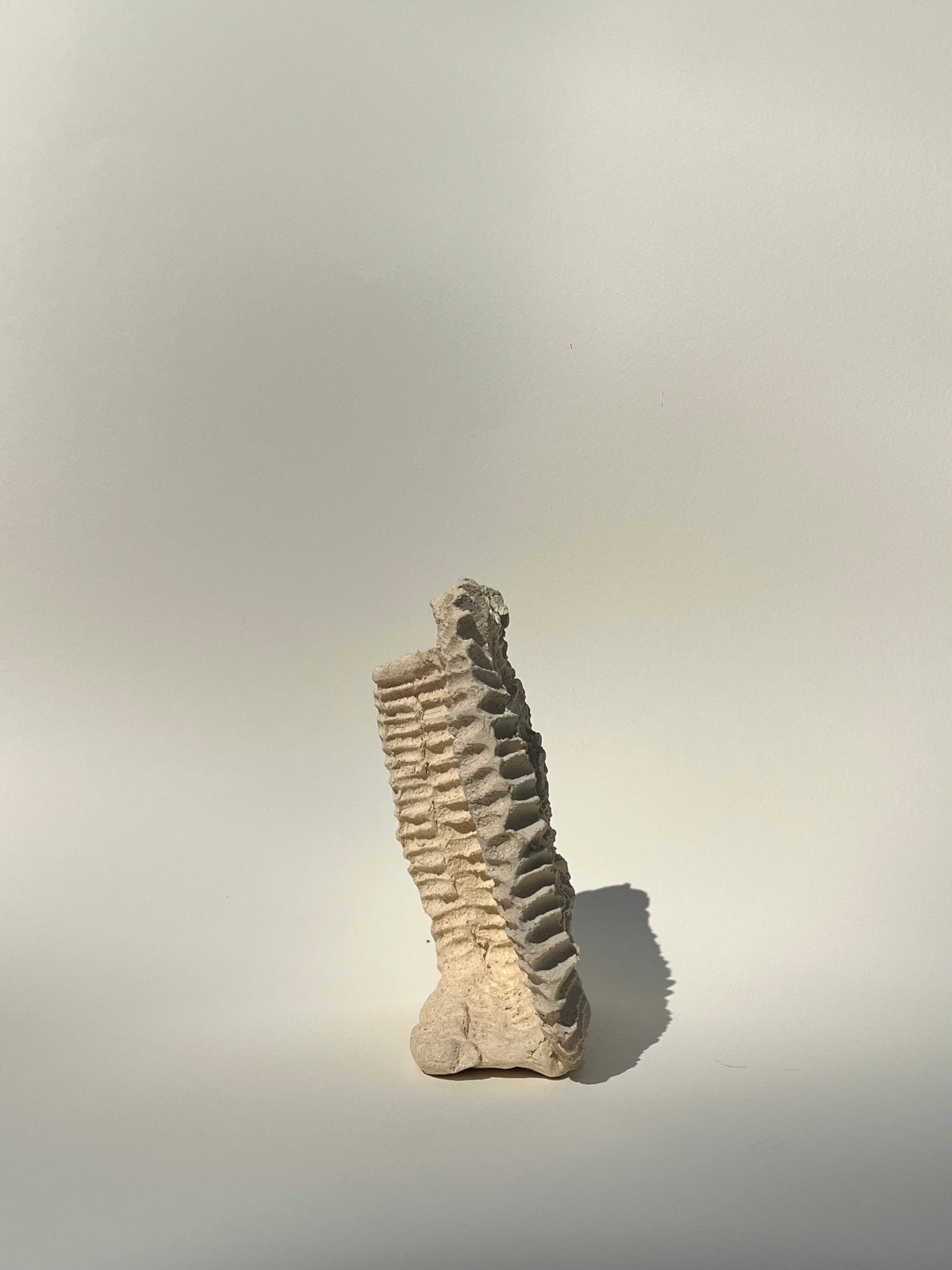 BKND.01 — Bookend Seashell Swirl
